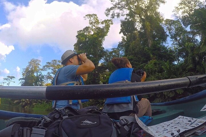 Half-Day / Canoe and Hike in to Tortuguero National Park  - Photo 1 of 25